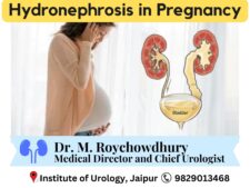 Hydronephrosis in Pregnancy Best Doctor Dr M Roychowdhury Dr Rajan Bansal