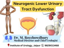 Neurogenic Lower Urinary Tract disfunction Treatment Dr M Roychowdhury Dr Rajan Bansal Jaipur Rajasthan