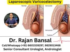 Laparoscopic Varicocelectomy- Principles, Technique, Outcomes and Clinical Significance in Male Infertility.